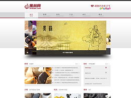 moorel的主页 Zcool网页制作的艺术与创新